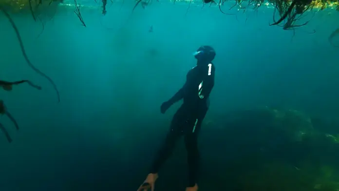 A new freediving club has formed in the Canadian province of Nova Scotia.
