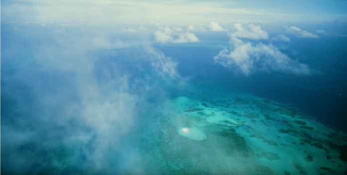 Great Barrier Reef in IMAX