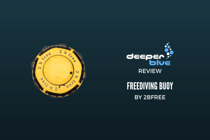 Review: 2bfree Buoy