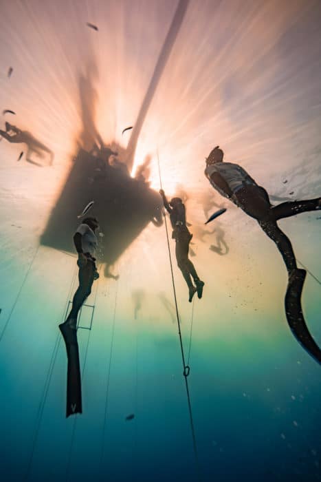 Surfacing into golden sunlight (photo by Daan Verhoeven)