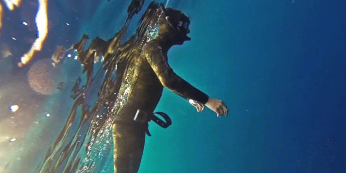 Panglao Freediving