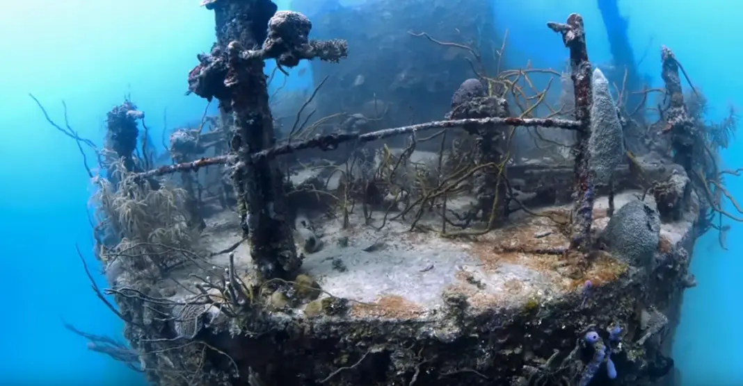 Prince Albert Wreck Roatan