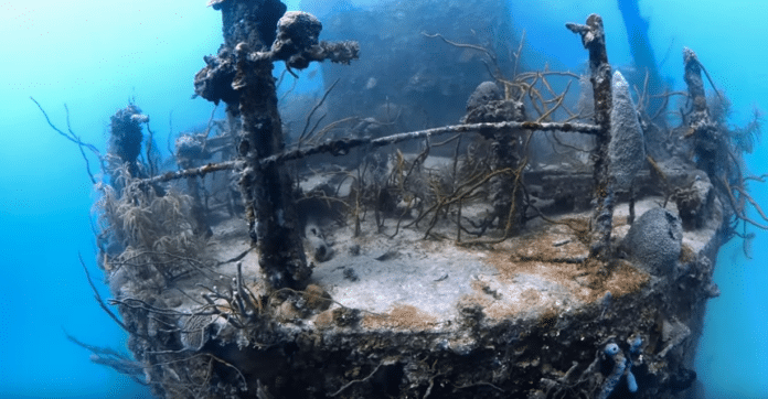 Prince Albert Wreck Roatan