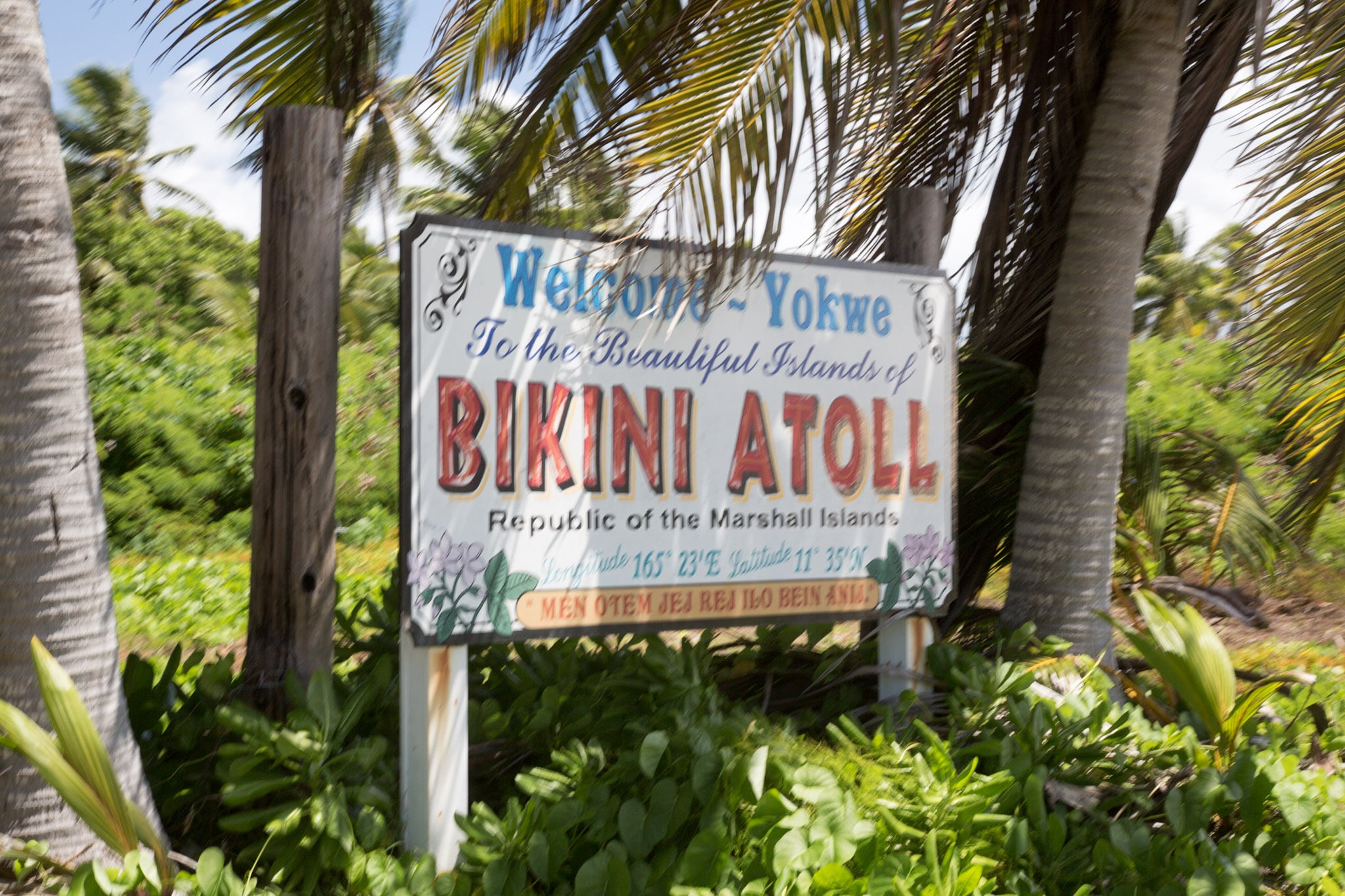 Bikini Atoll What A Blast - DeeperBlue.com