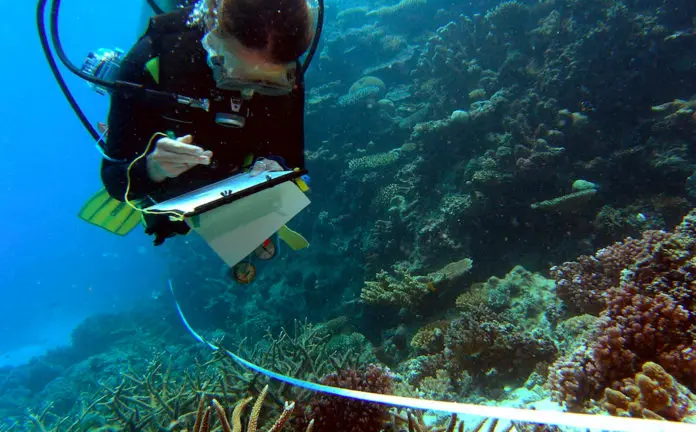 Reef Check Diver collects data on coral bleaching and other ecosystem health indicators along a transect.