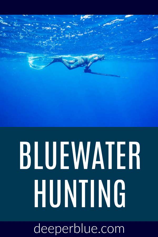 Bluewater Hunting