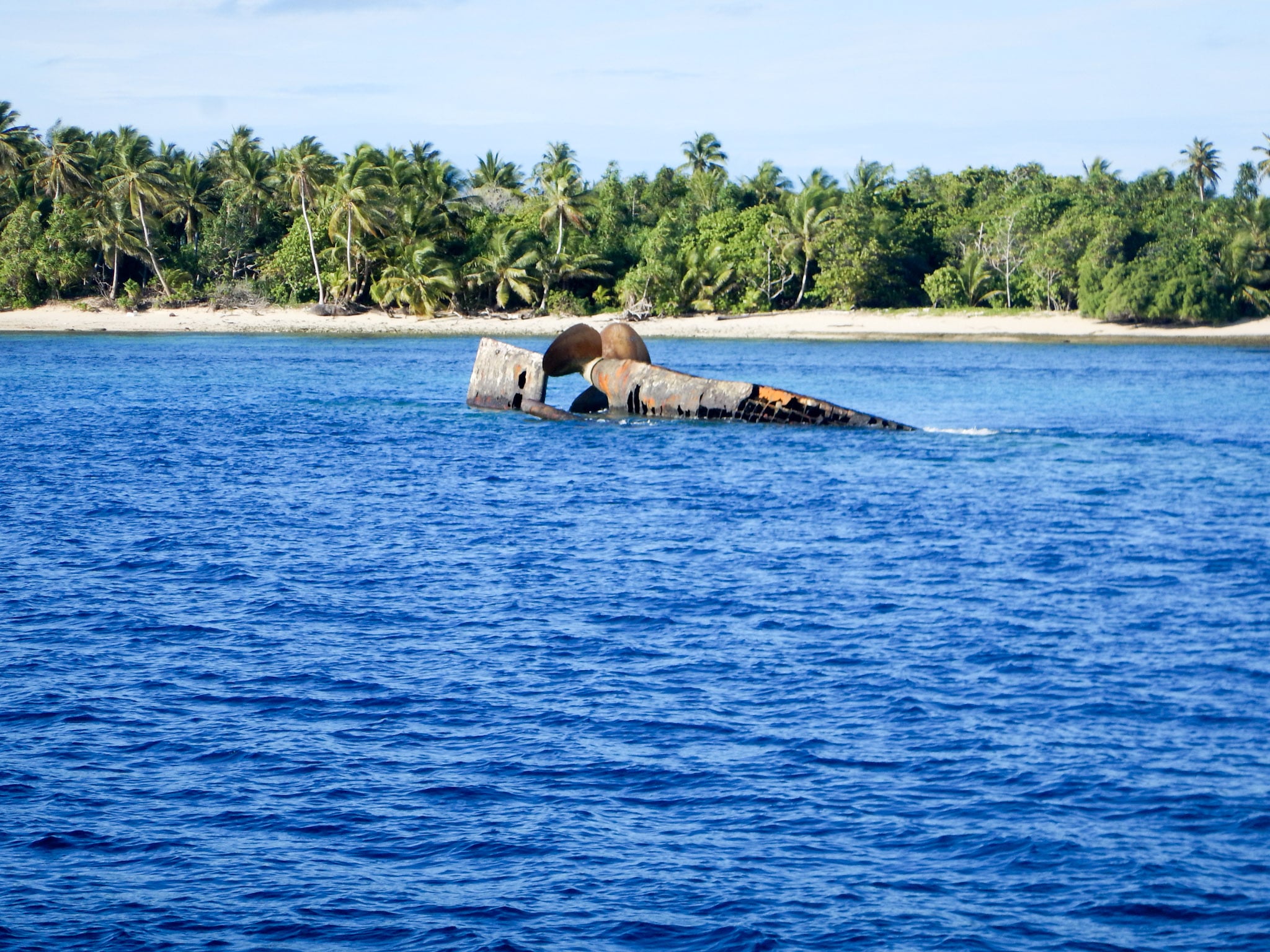 Bikini atoll eco system