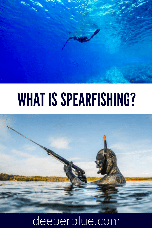 What is Spearfishing