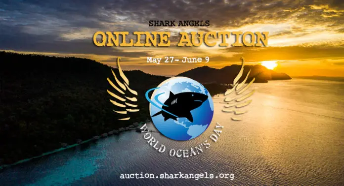 Shark Angels Launches Third World Oceans Day Auction