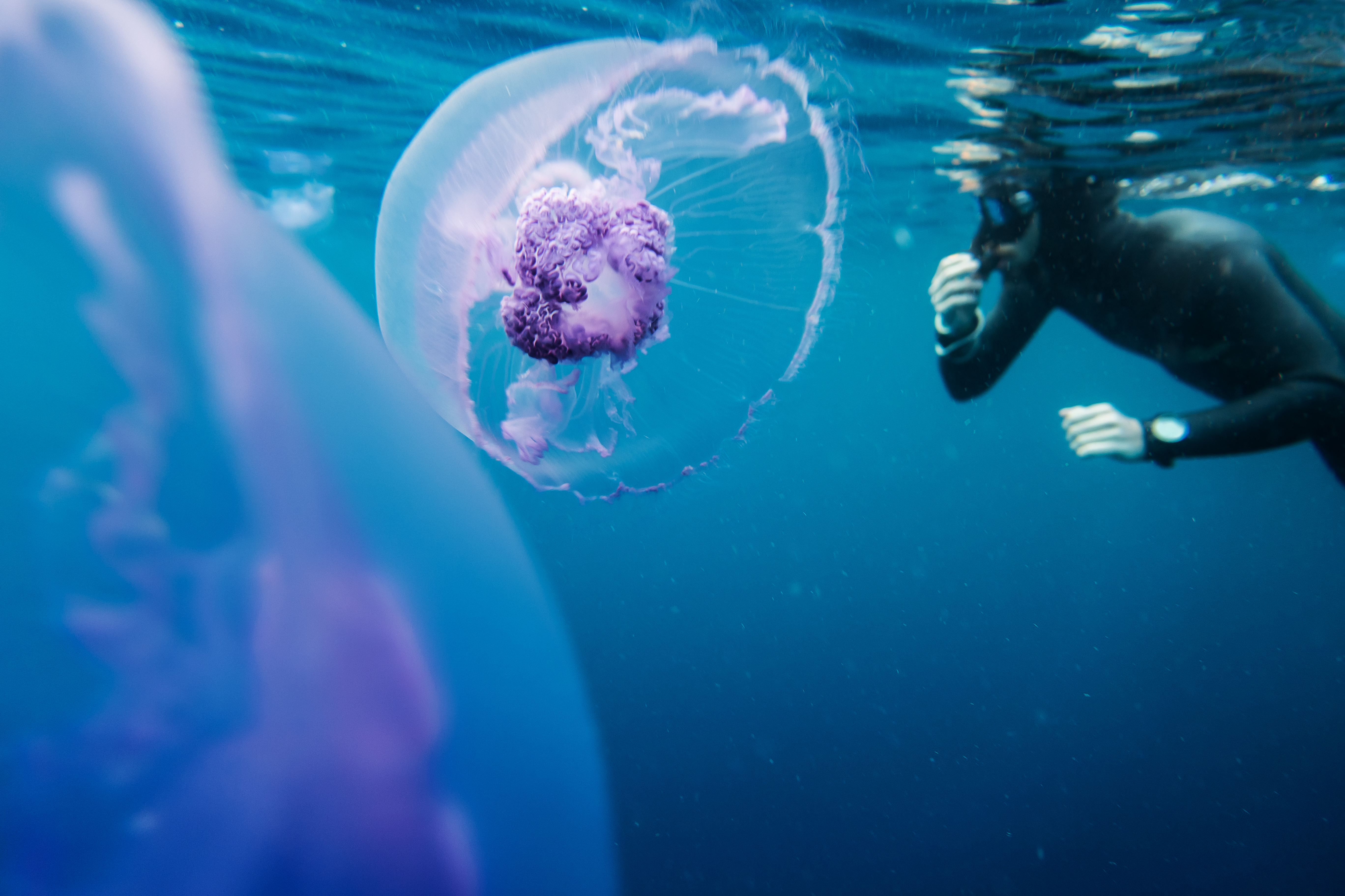 Why A Wetsuit Is Essential For Freediving Deeperblue Com Why A Wetsuit Is Essential For Freediving Deeperblue Com