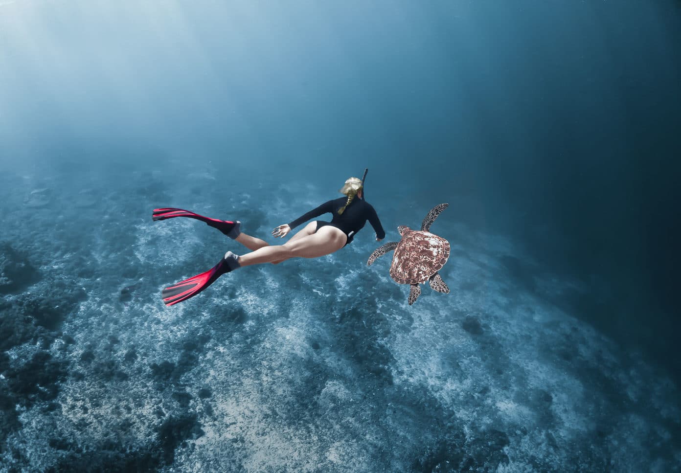 Snorkeling, Skin Diving, And Freediving - What's The Difference ...