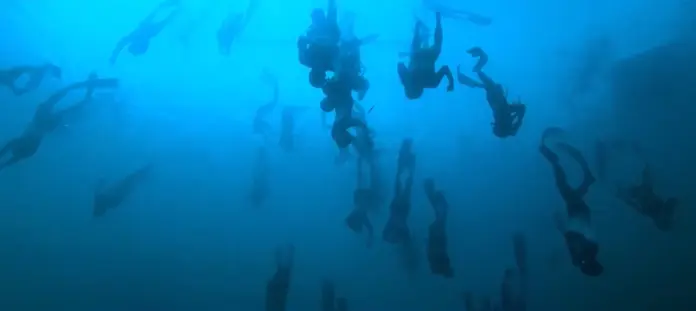 Freediving World Series To Launch In 2020
