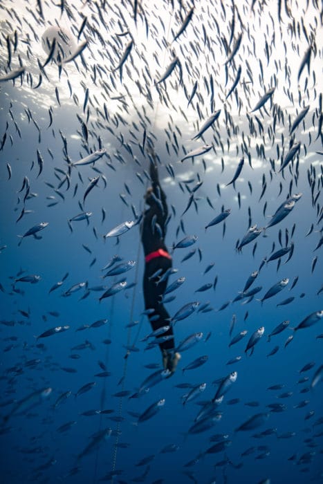 Alena Konecna and all of the fishes! (photo by Daan Verehoeven)