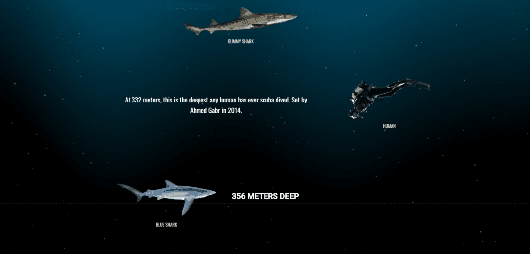 scroll down to the bottom of the sea