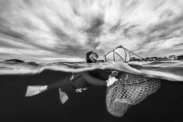 Ocean Photography Awards Contest Announced (Photo credit: Luciano Candisani)