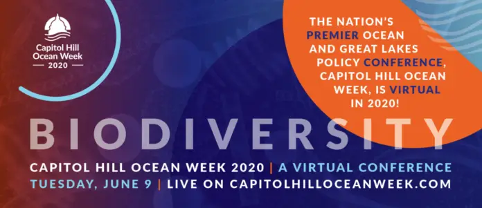 Capitol Hill Ocean Week Is Going Virtual For 2020