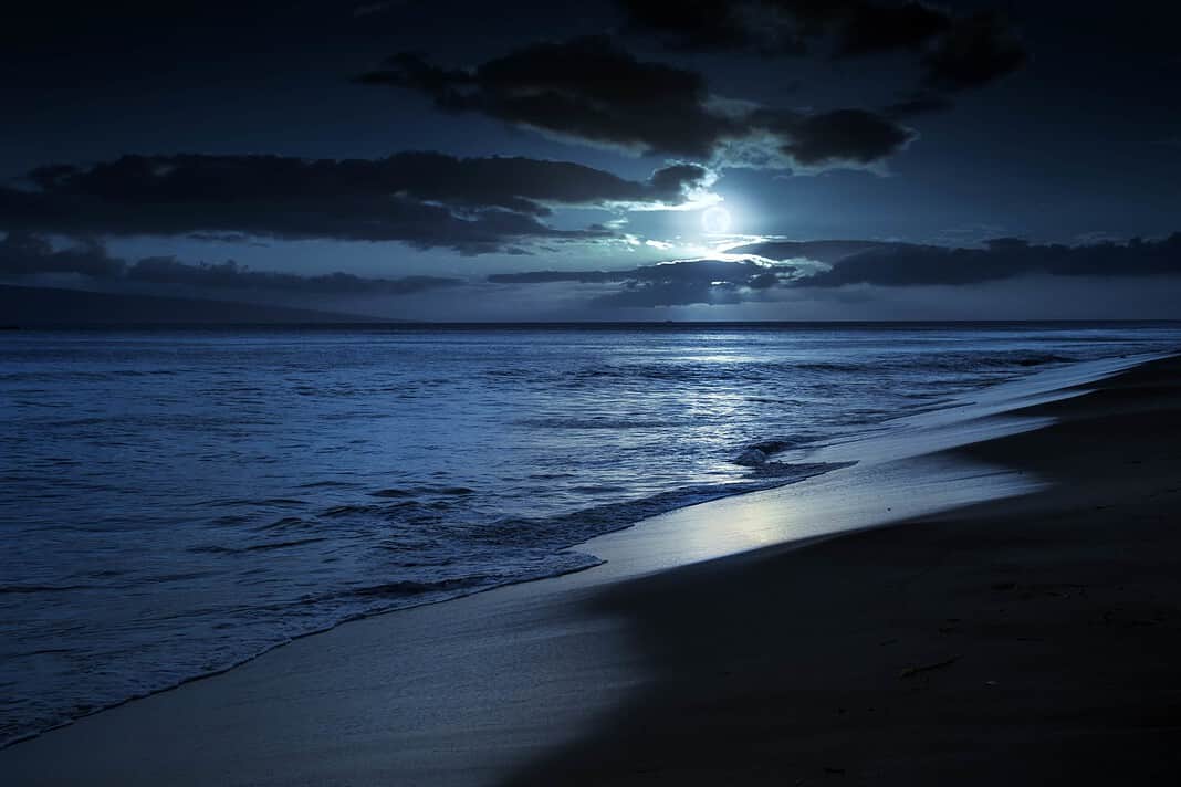 10 Tips For Freediving At Night