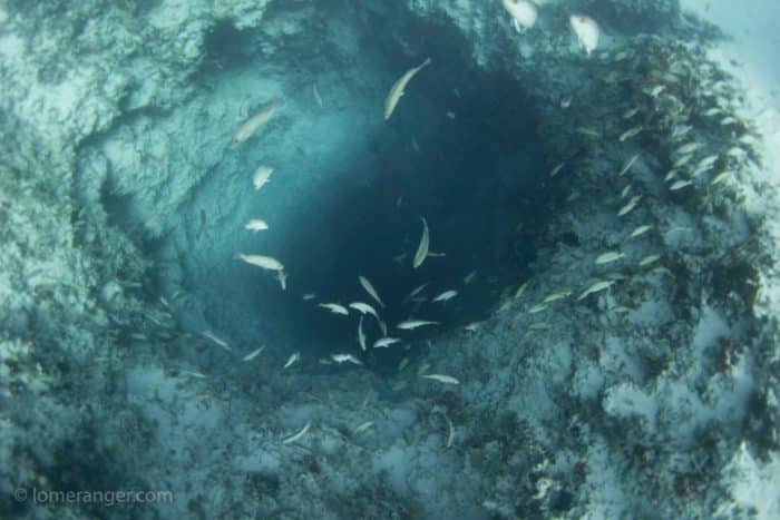 Only 36 meters (120 feet) deep, but creepy.