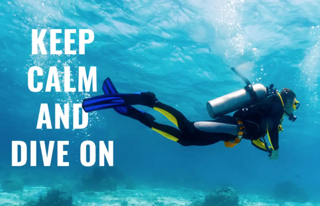 Search Scuba