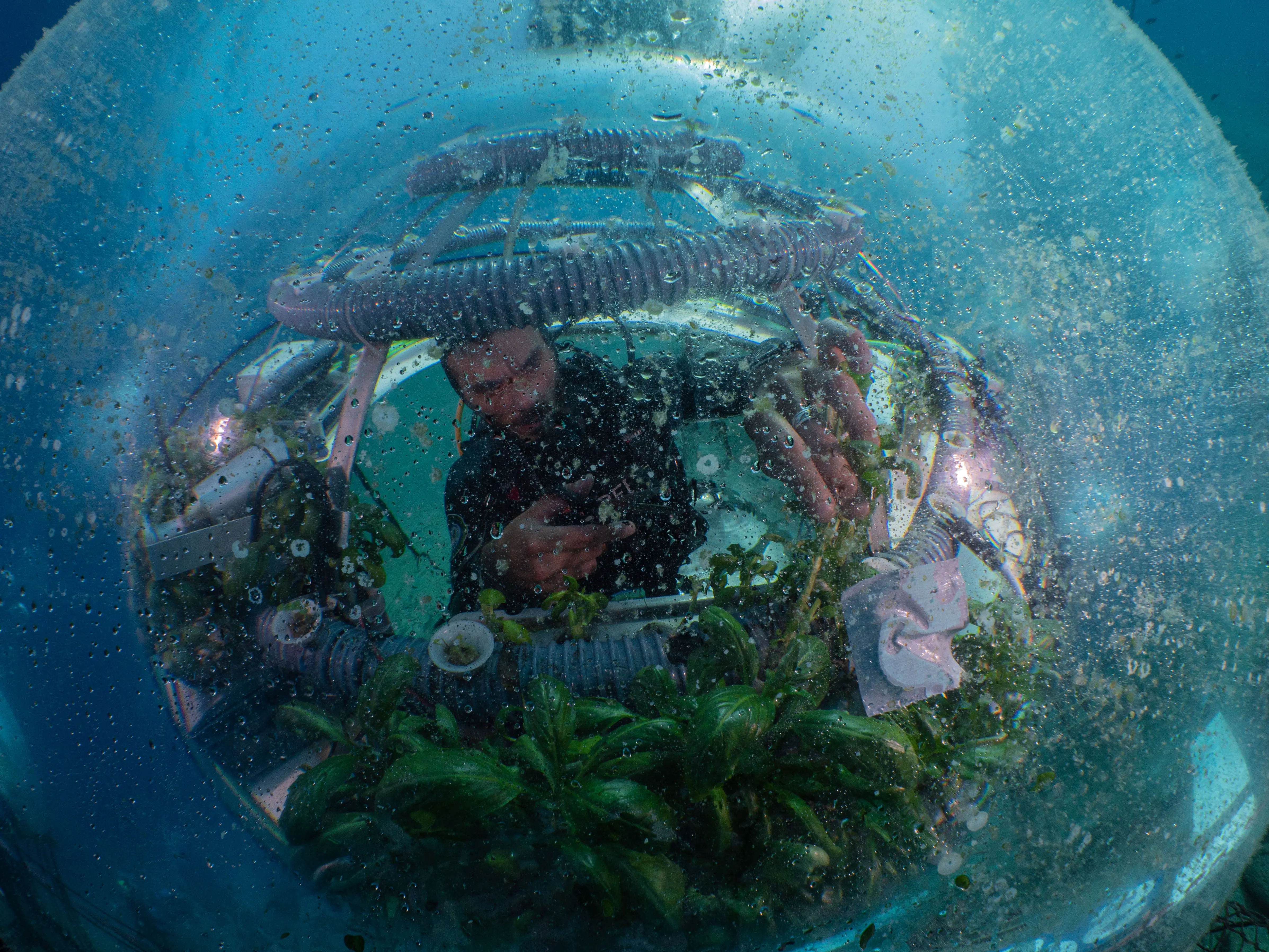 Joanna Smart, “Innovation for a Sustainable Ocean.”