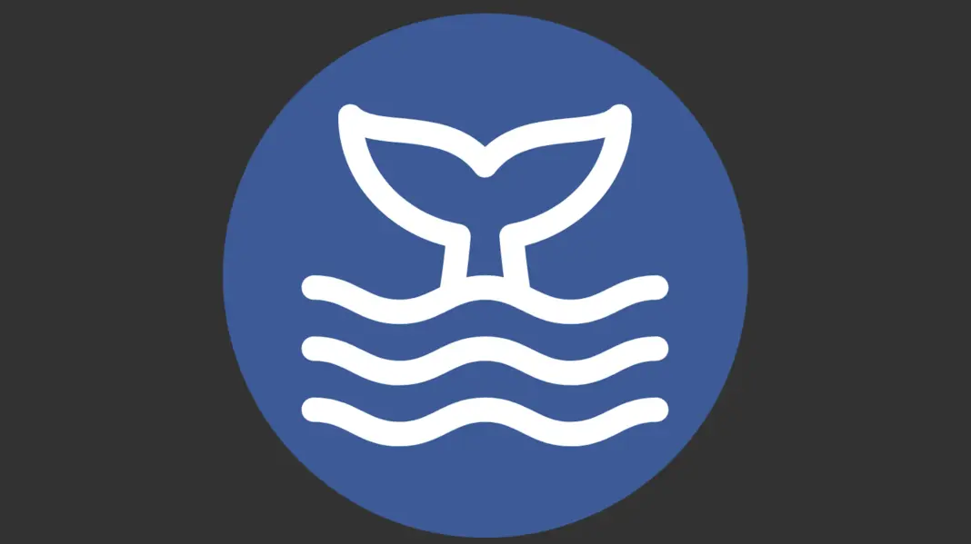 MFDI Big Logo