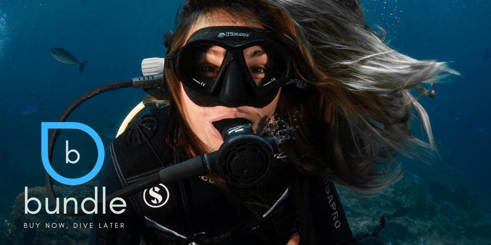 Bundle: Buy Now, Dive Later
