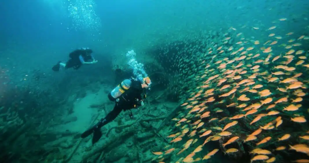 NOAA Hosting WWII Shipwrecks Webinar
