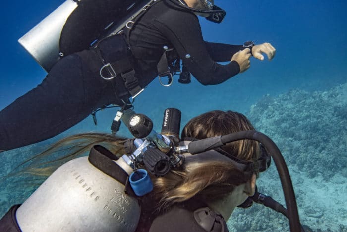 garmin freedive