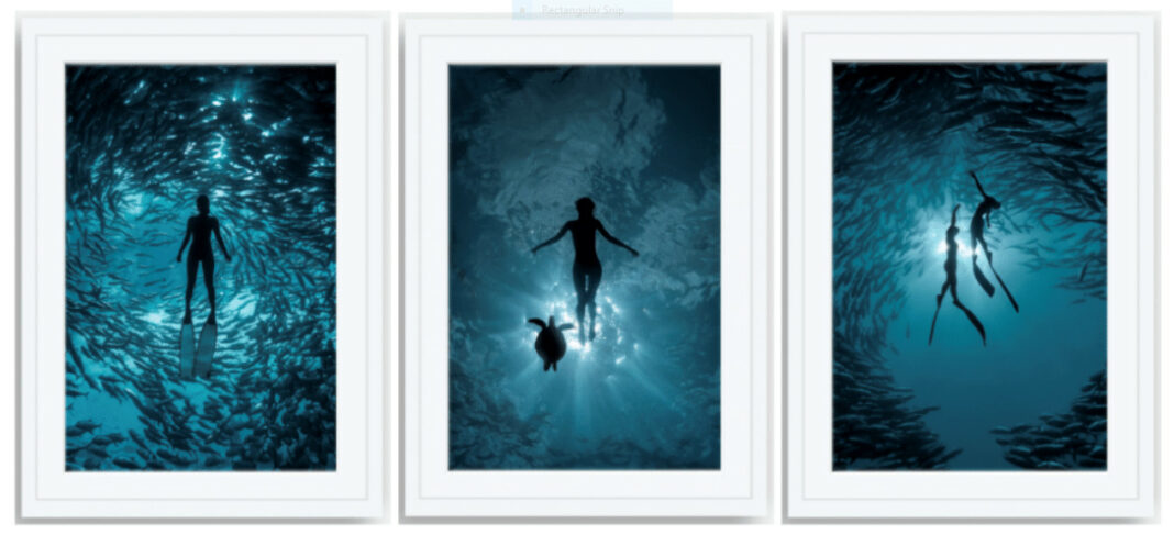 Martin Zapanta Launches Freediver Photo Collection