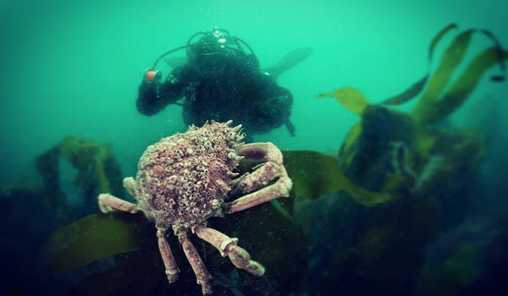 Crowdfunding Campaign Launched for U.K. Dive Expedition (Image credit: Andy Clark/Instagram)