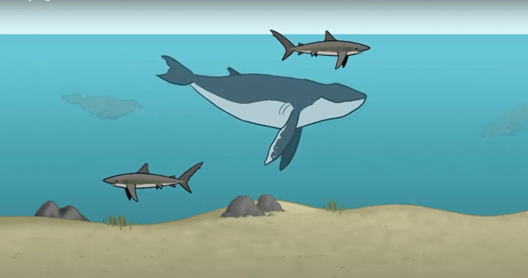 BOEM: Studying the Sand Lance
