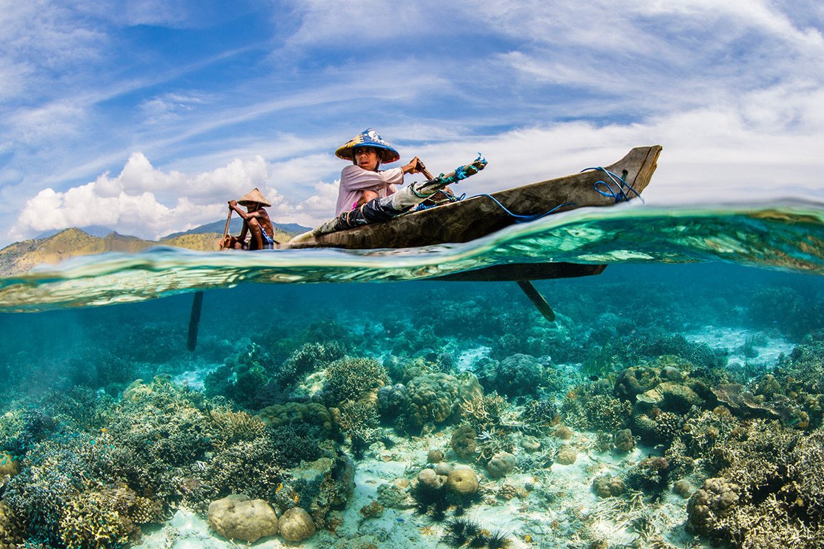 The Ocean Life and Livelihoods Winner Renee Capozzola