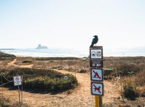 New Marine Protected Area Guide Published thumbnail