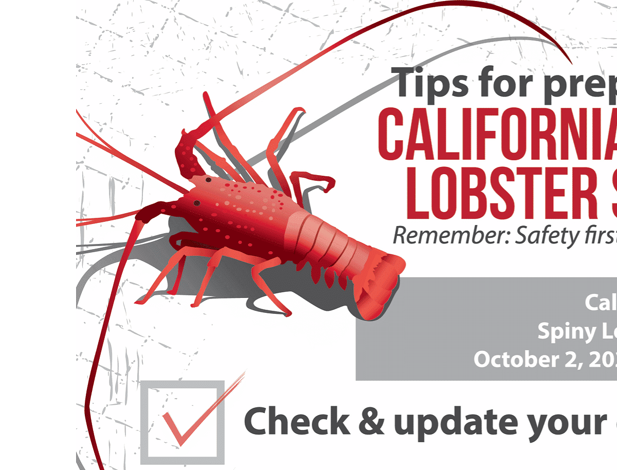DEMA Releases California Lobster Season Poster