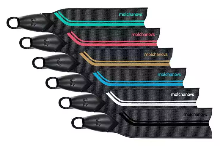 Molchanovs Competition Bifins 2x Carbon