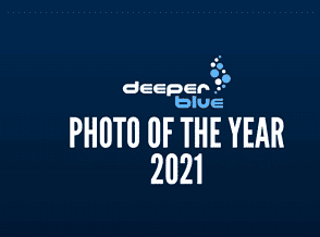 DeeperBlue Photo Of The Year 2021 thumbnail