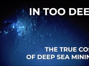 In Too Deep thumbnail