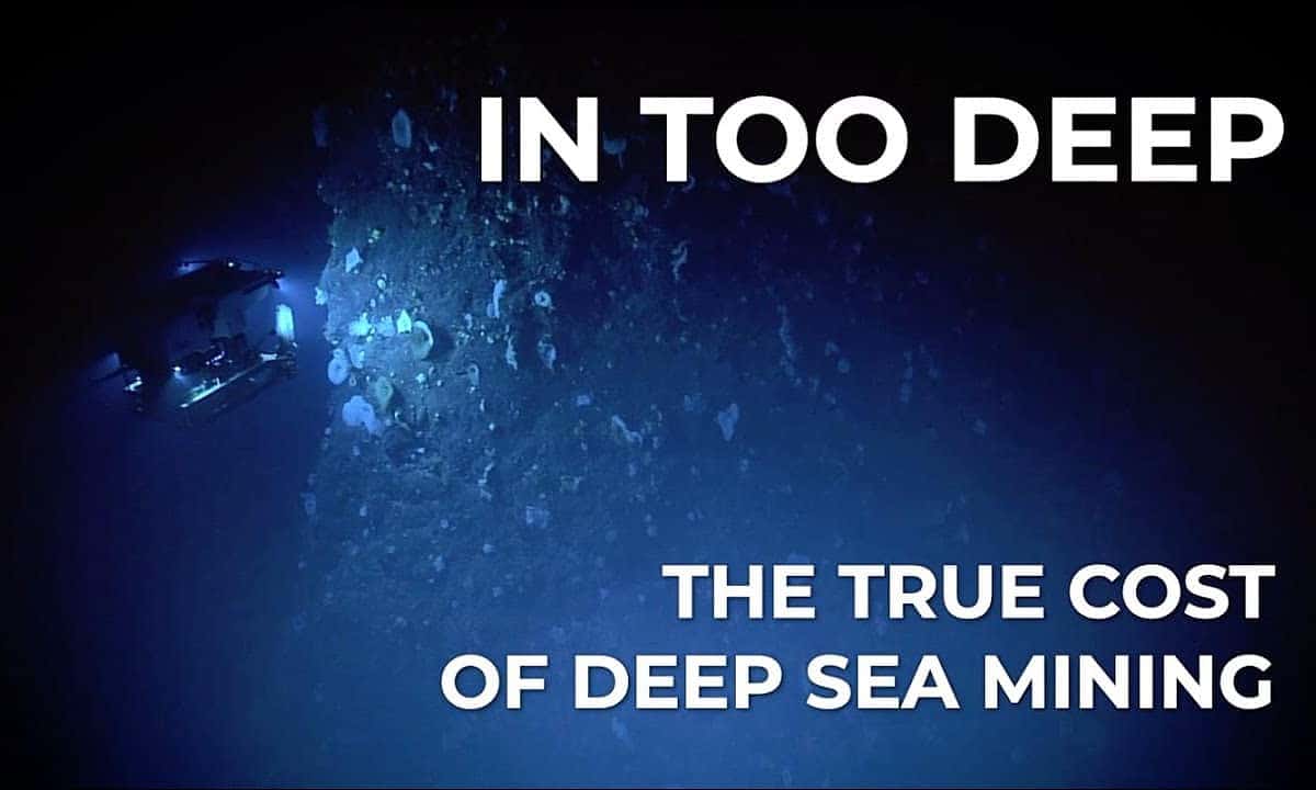 In too deep