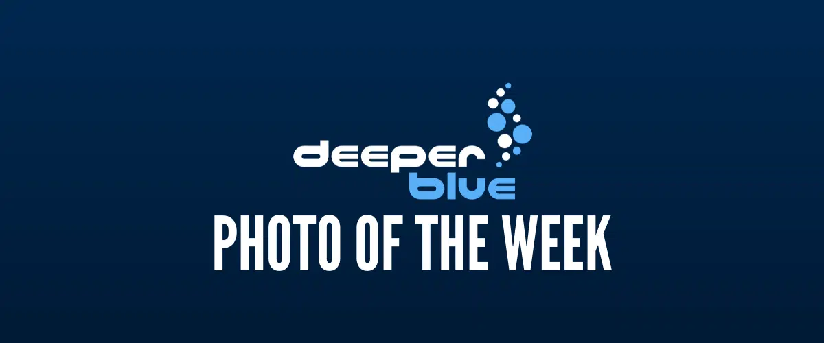 DeeperBlue.com - Photo of the Week