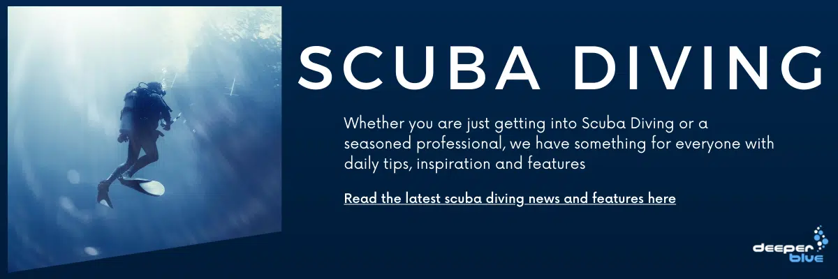Scuba Diving Header Image