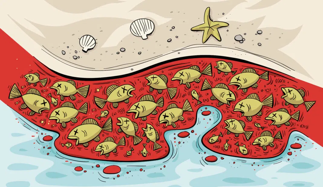 Red Tide (AdobeStock)