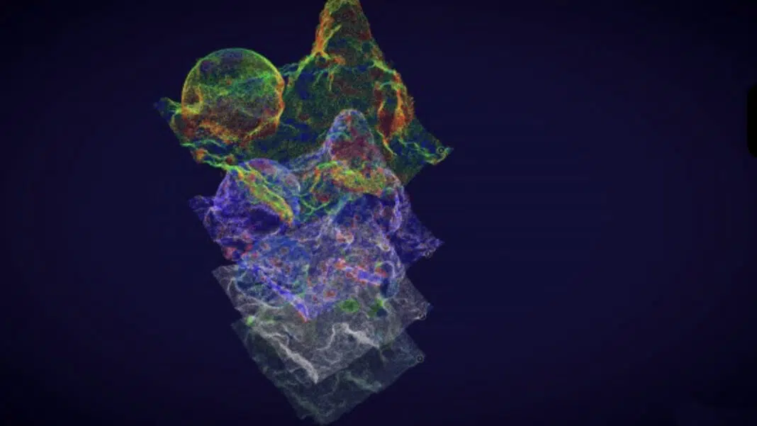 3D Model of Coral Reefs (Image credit: Ángela Martínez Quintana)