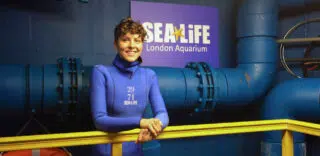 British Freediver Alice Hickson Holds Her Breath Among Sharks