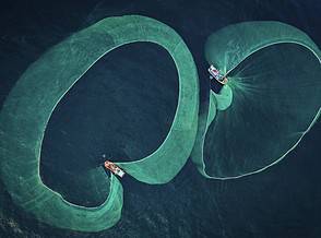 Submissions Open Soon For 2023 Marine Conservation Underwater Photographer of the Year Competition thumbnail