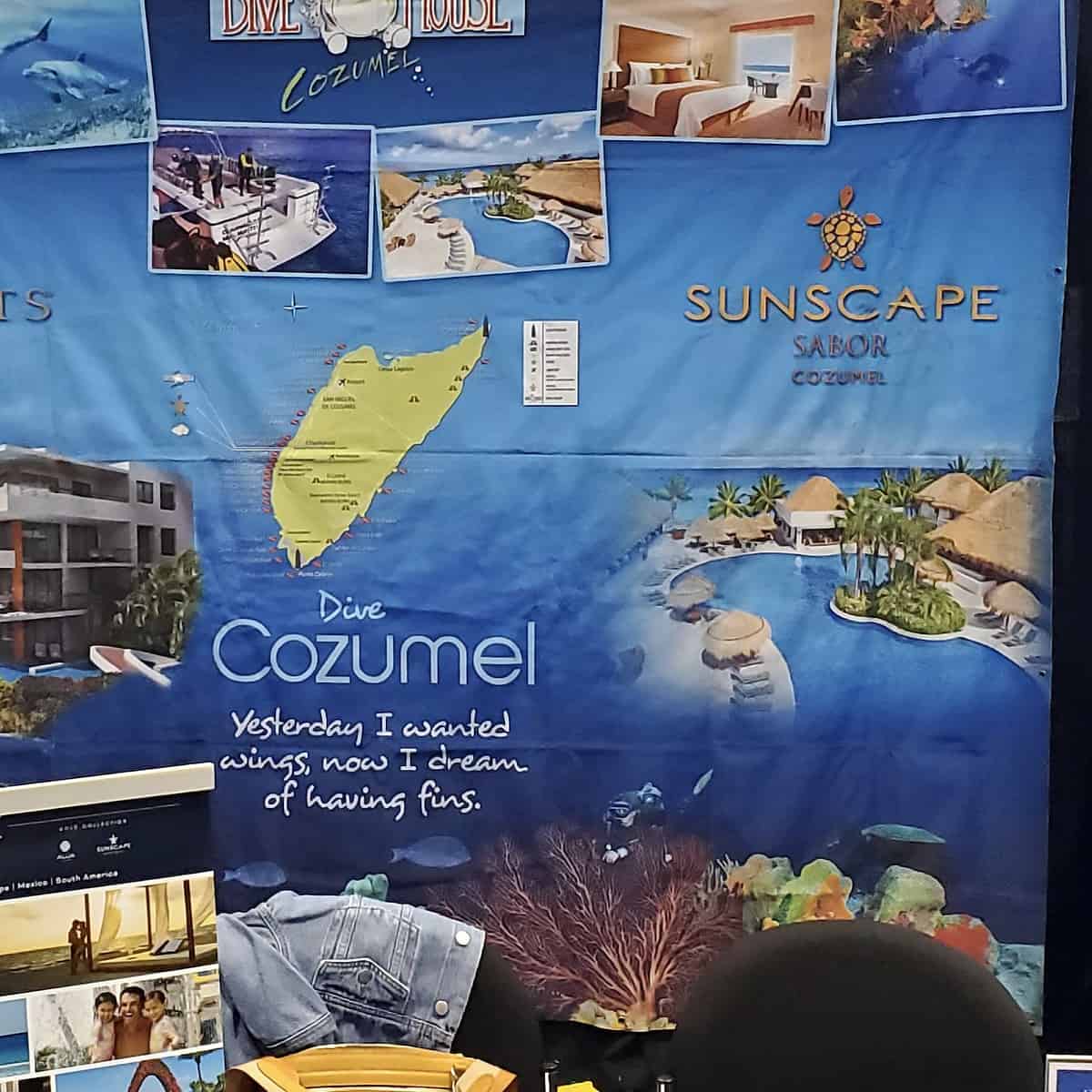 Dreams Cozumel Cape Resort & Spa AllInclusive Diving Luxury