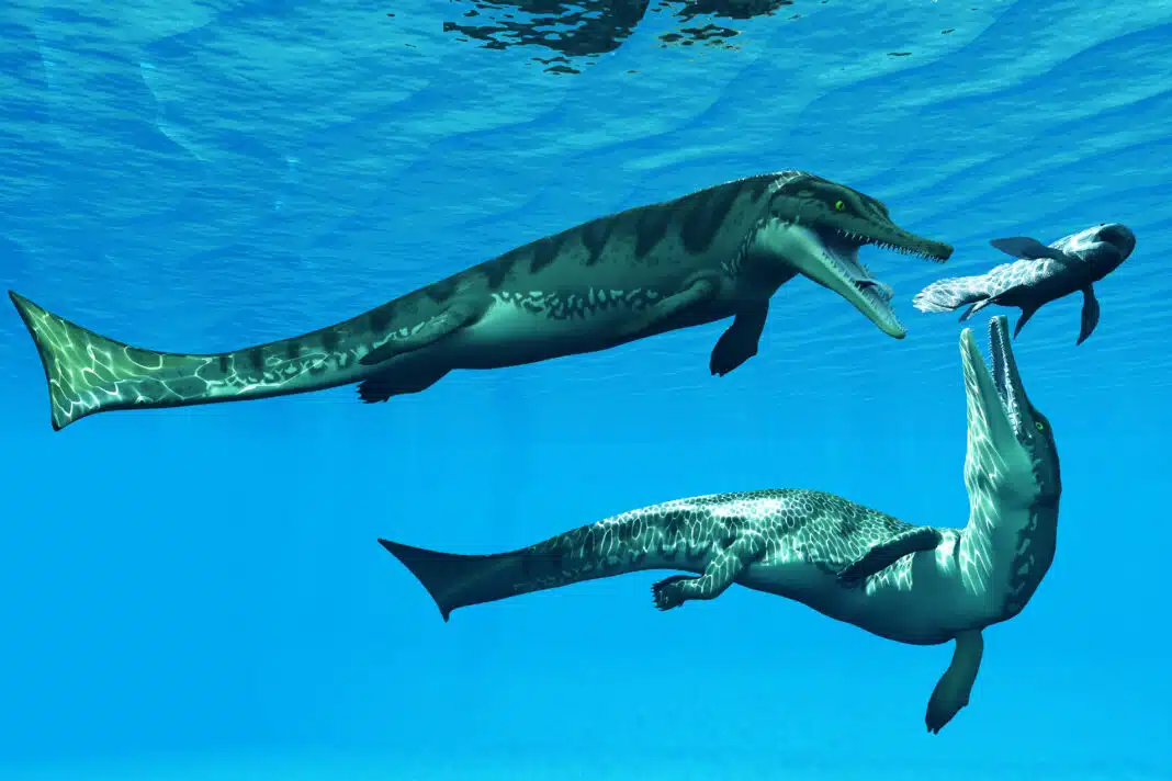Metriorhynchus Aquatic Reptiles (Adobe Stock)