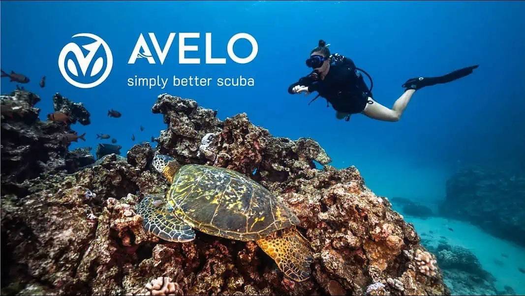 Presenting the Avelo System