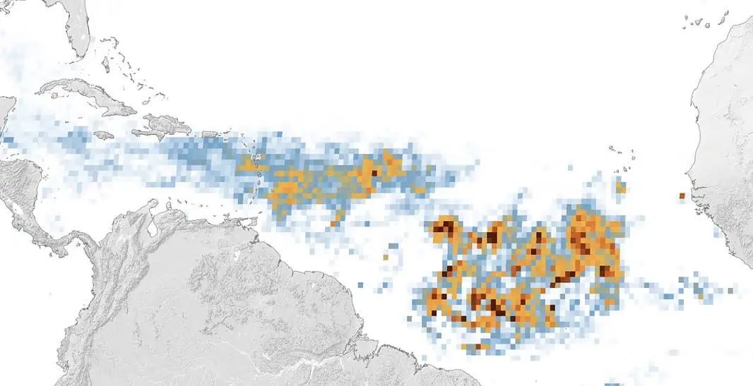 Great Atlantic Sargassum Belt (Image credit: NASA)