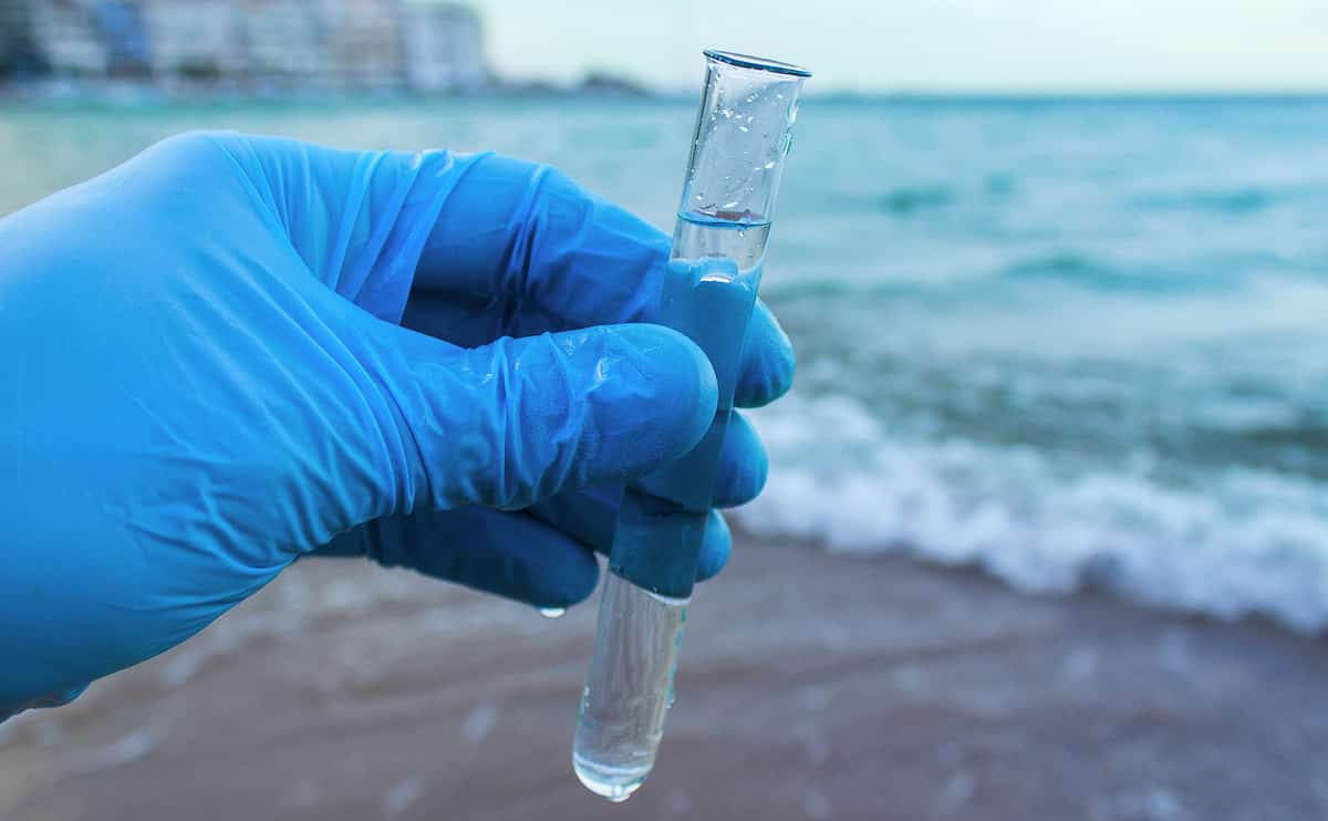 New Bacteria Discovered In Great Barrier Reef