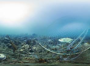 Check Out The Webinars On Tropical Islands Partnering on Marine Debris Solutions thumbnail